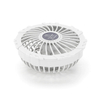 Brushing Fan